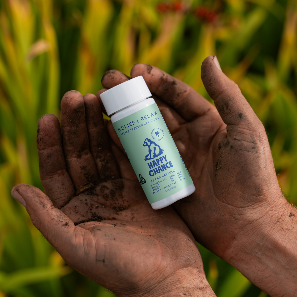Relief + Relax Capsules