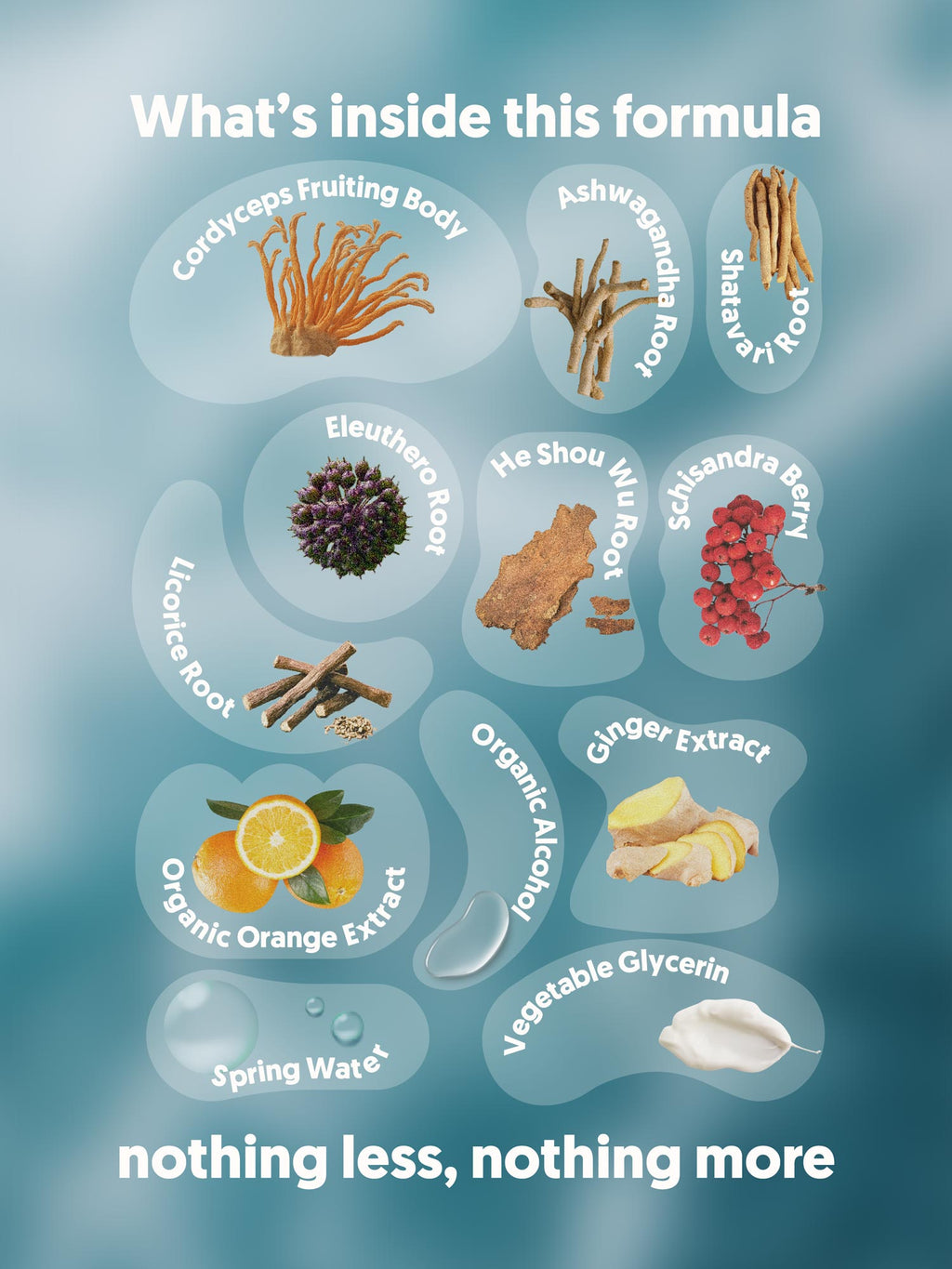 HI, ENERGY Adaptogenic Spray