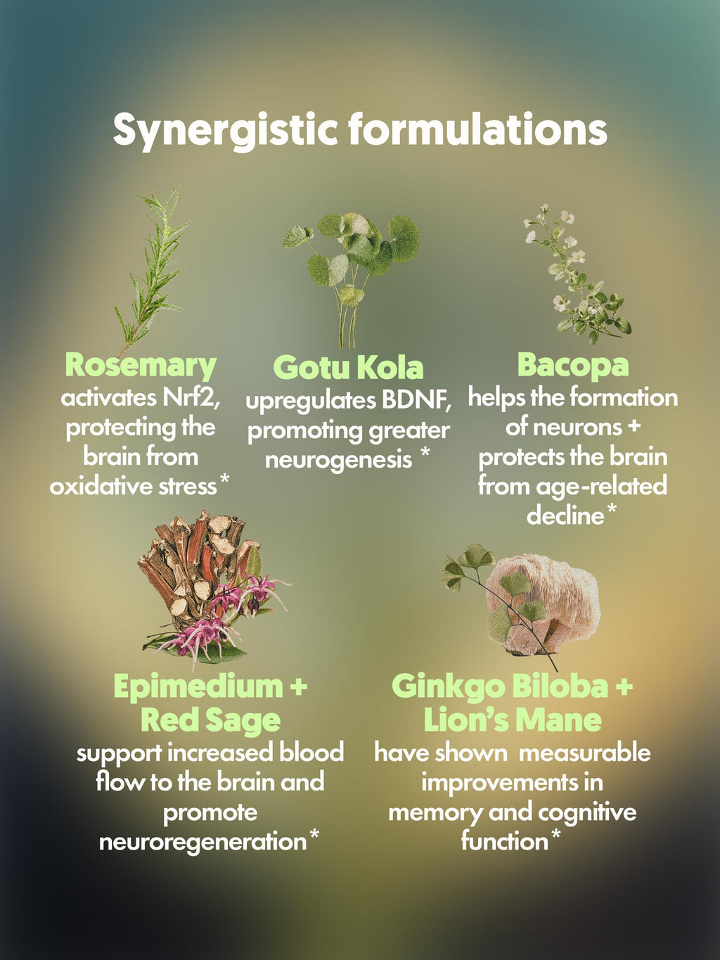 MIND FOOD Adaptogenic Spray- NEW!