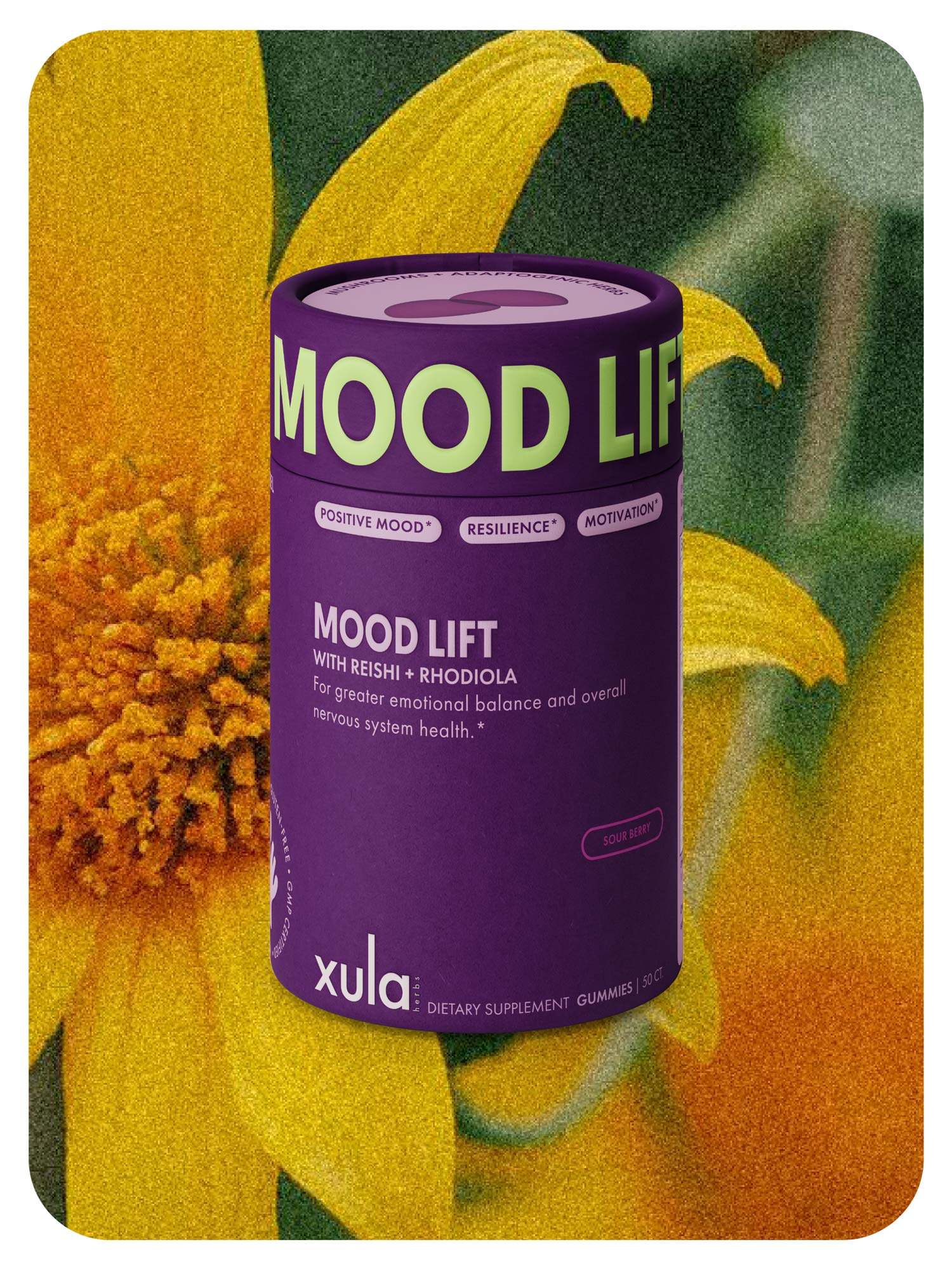 MOOD LIFT Extra Strength Gummies- NEW!